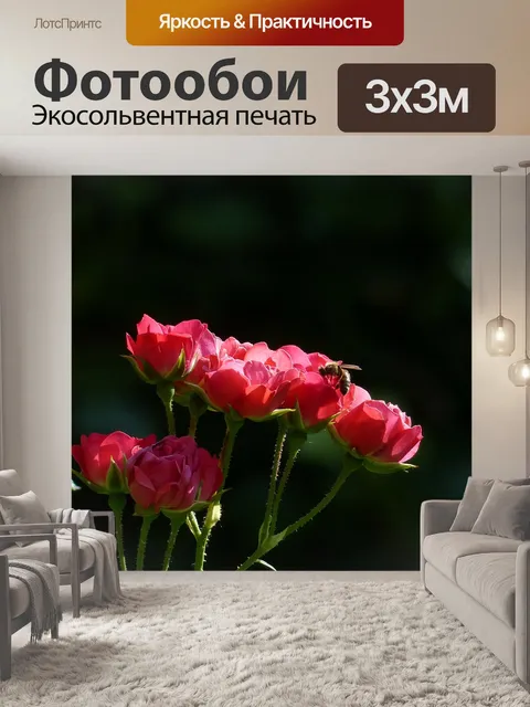 Фотообои Розы