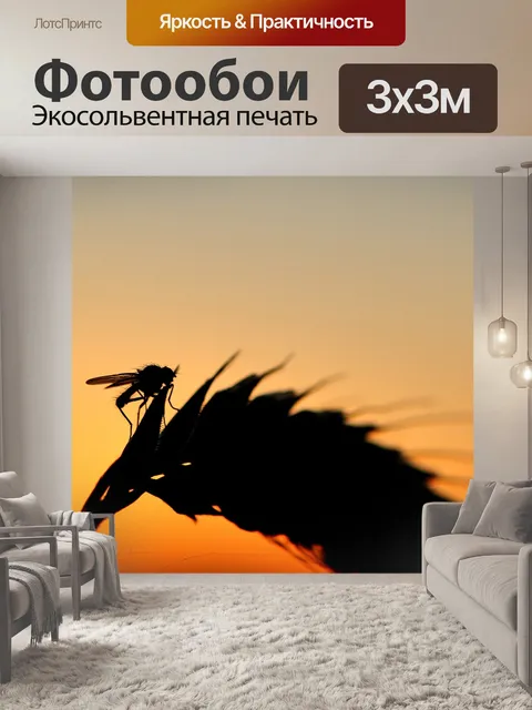 Фотообои Летать