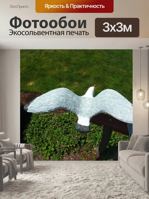 Фотообои Чайки