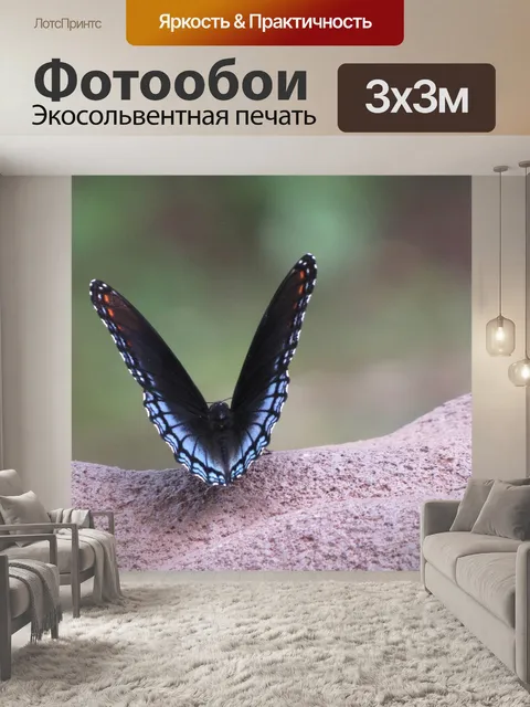 Фотообои Синий