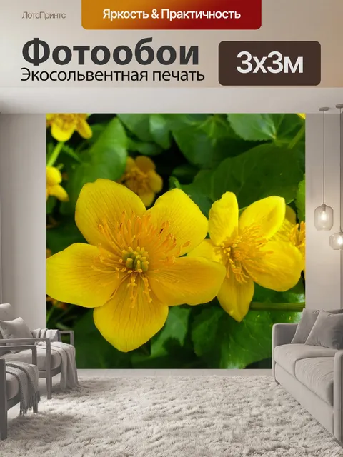 Фотообои Цветы