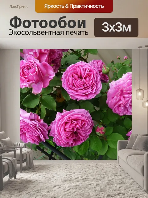 Фотообои Роза
