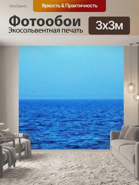 Фотообои Чайка