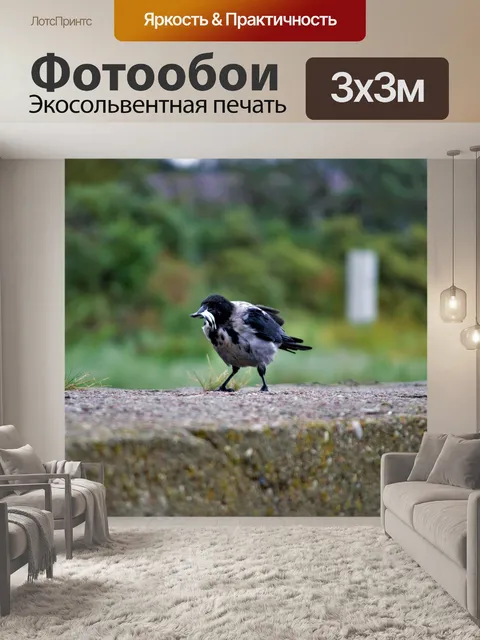 Фотообои Птица