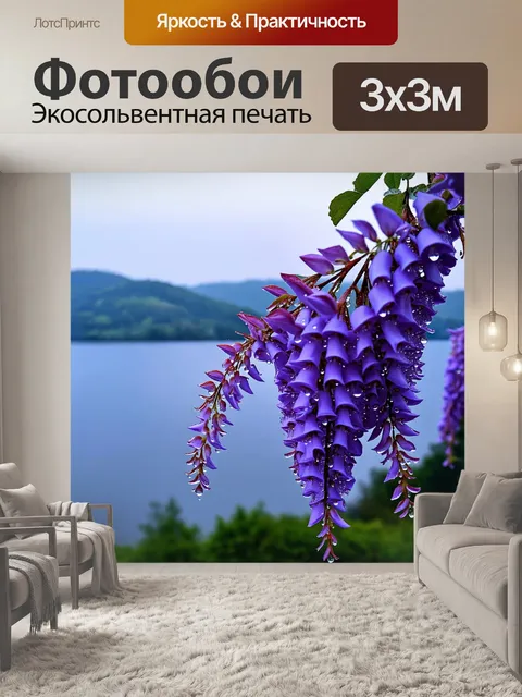 Фотообои глициния, покрытая каплями росы, яркого фиолетового цвета, в кристально чистом утреннем свете, на фоне…
