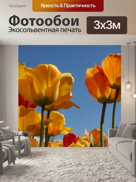 Фотообои Тюльпаны