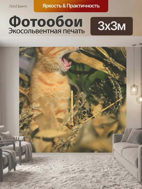 Фотообои Кот