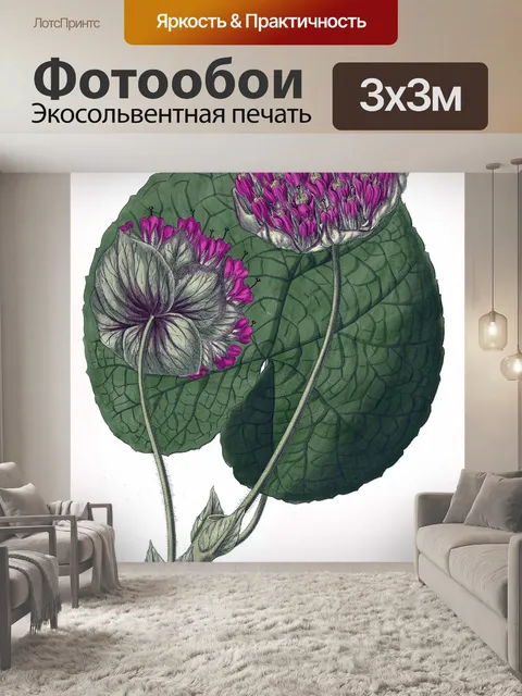 Фотообои Цветочный цветок старинное искусство