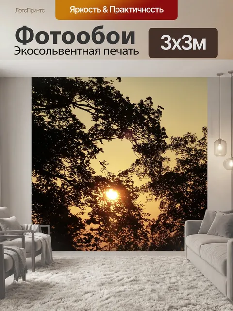 Фотообои Заход солнца