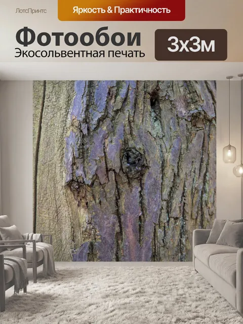 Фотообои Кора плоского дерева