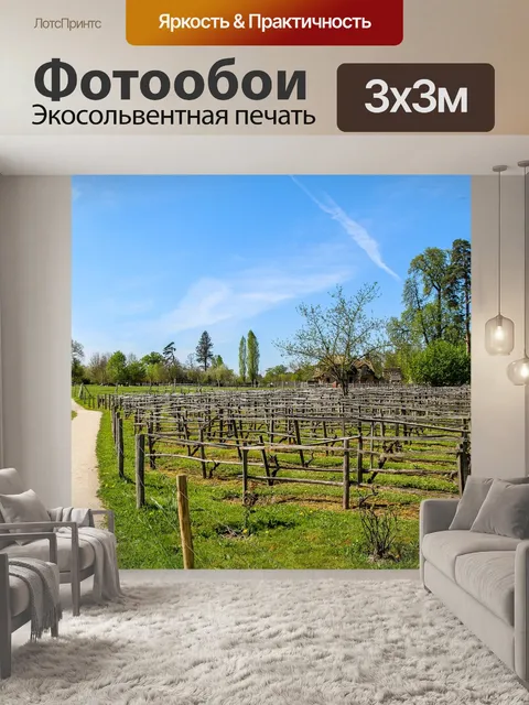 Фотообои Поля