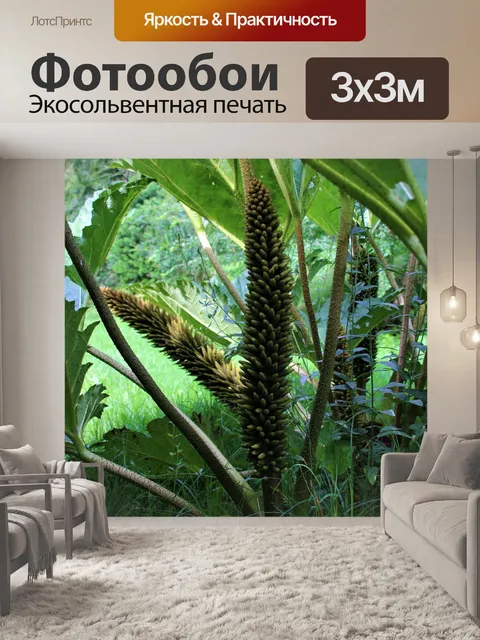 Фотообои Цветы