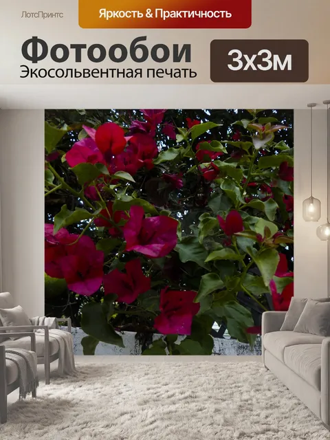 Фотообои Цветы бугенвилии