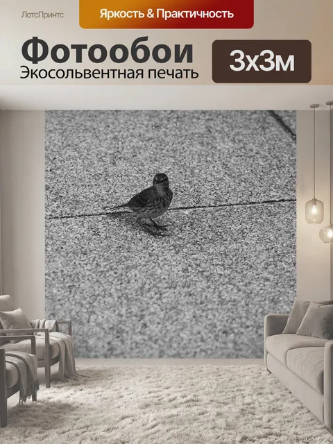Фотообои Птица города