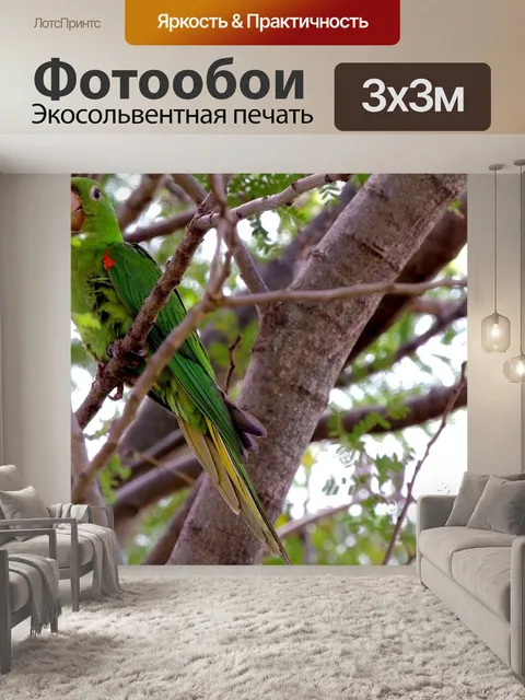 Фотообои Птица