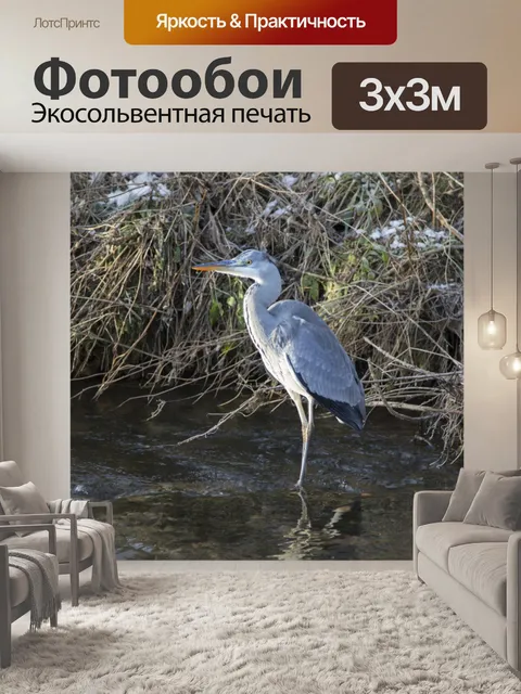 Фотообои Большая голубая цапля