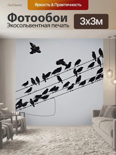 Фотообои Птиц стая