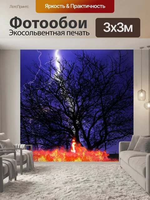 Фотообои Деревья