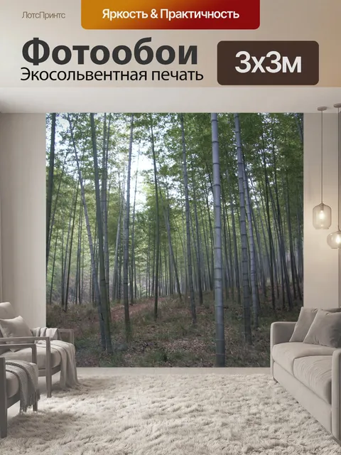 Фотообои Бамбук Forest