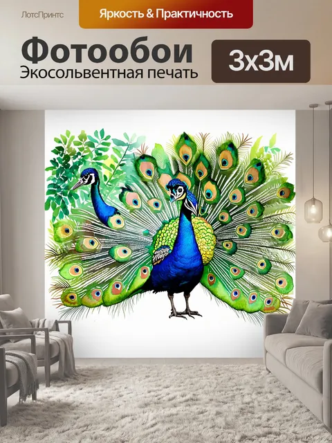 Фотообои изображение павлина, распускающего свои великолепные перья на фоне яркого тропического леса