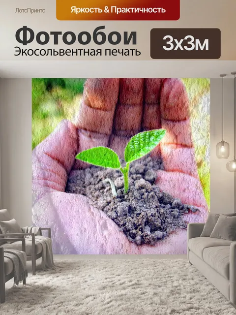 Фотообои Маленькое дерево
