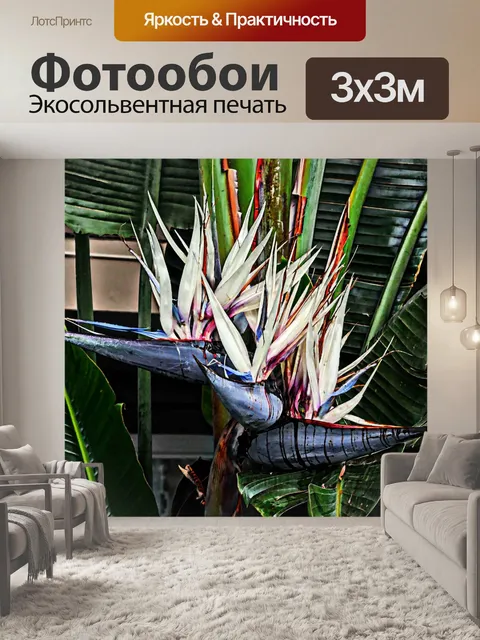 Фотообои Белая птица рая Цветы