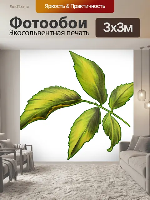 Фотообои Акварельные листья