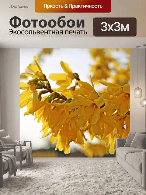 Фотообои Цветы