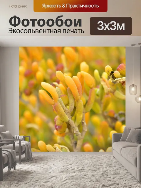 Фотообои Цветы