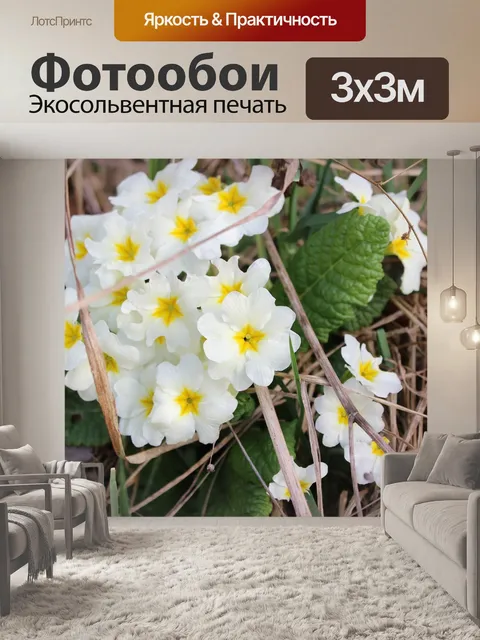 Фотообои Древесные анемоны