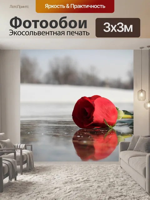 Фотообои Красная роза на льду