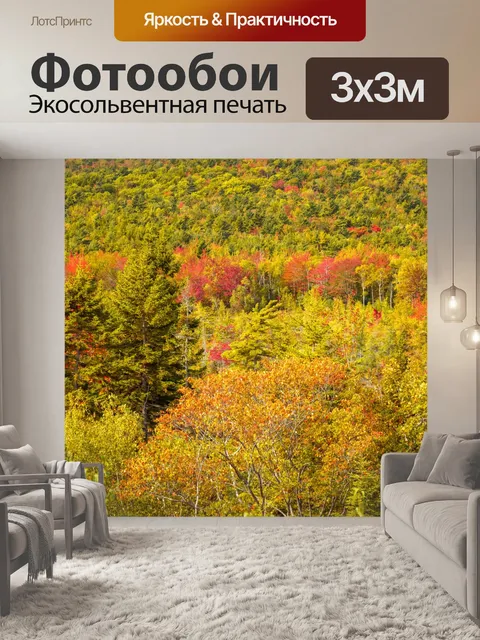 Фотообои лес осенью