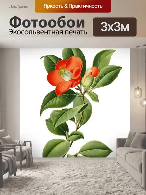 Фотообои Винтажные иллюстрации искусства цветы