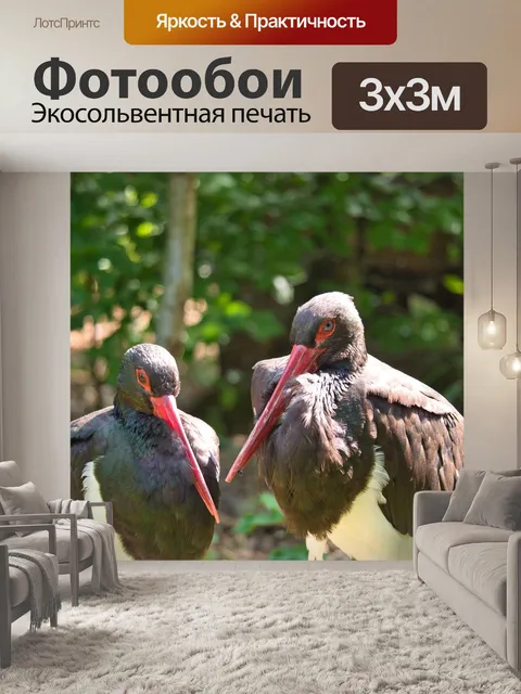 Фотообои Аисты