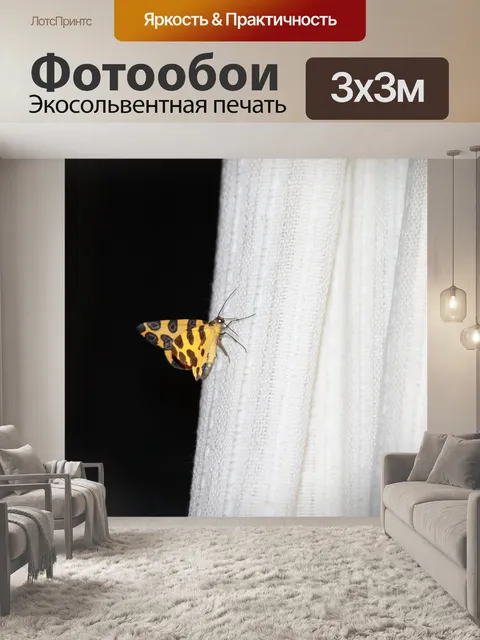 Фотообои Бабочка