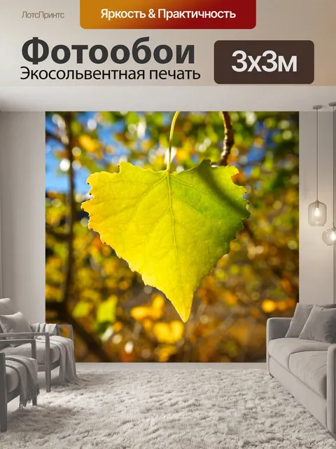 Фотообои Крупным планом зеленых листьев