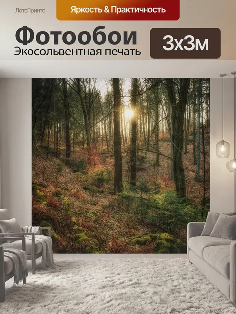 Фотообои Лес