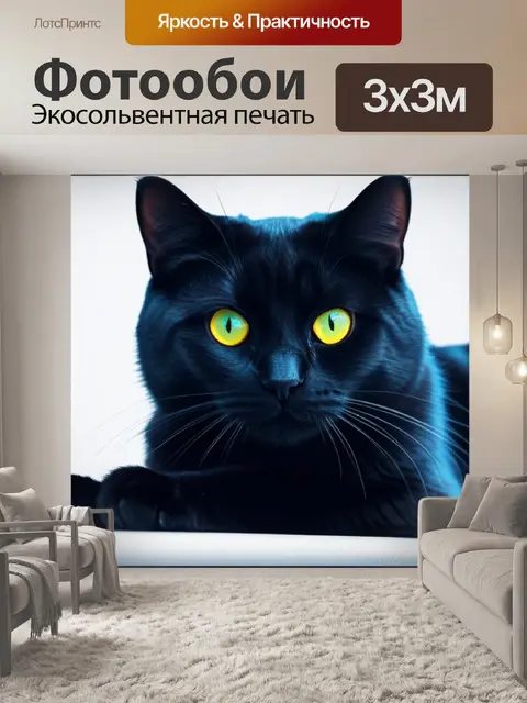 Фотообои с кошками минимал