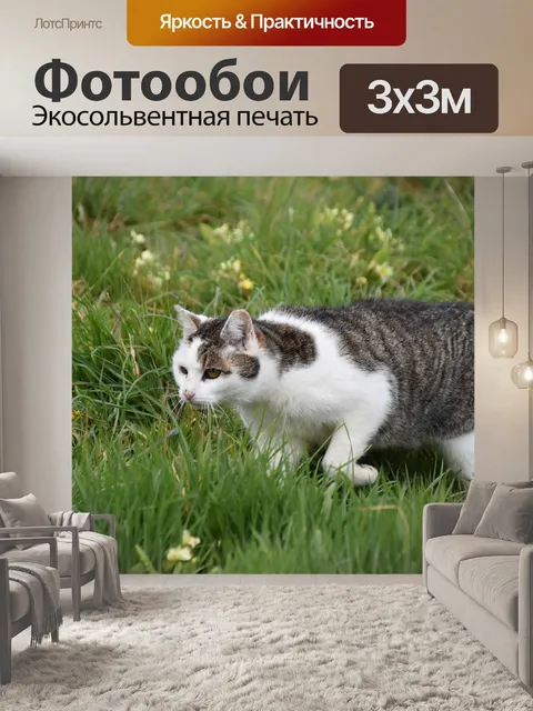 Фотообои Кошка