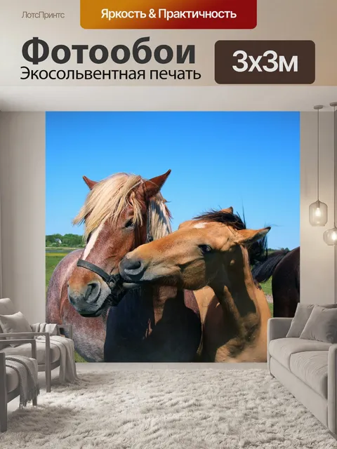 Фотообои Лошади