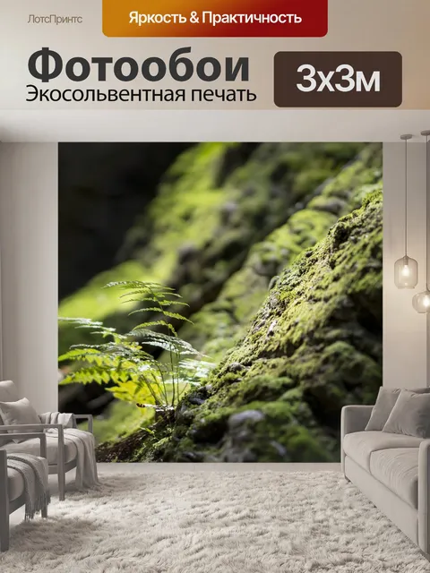 Фотообои Папоротник