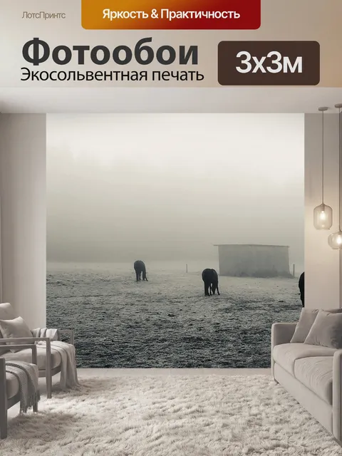 Фотообои Туман
