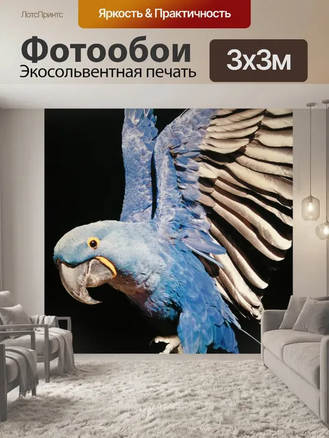 Фотообои Птица