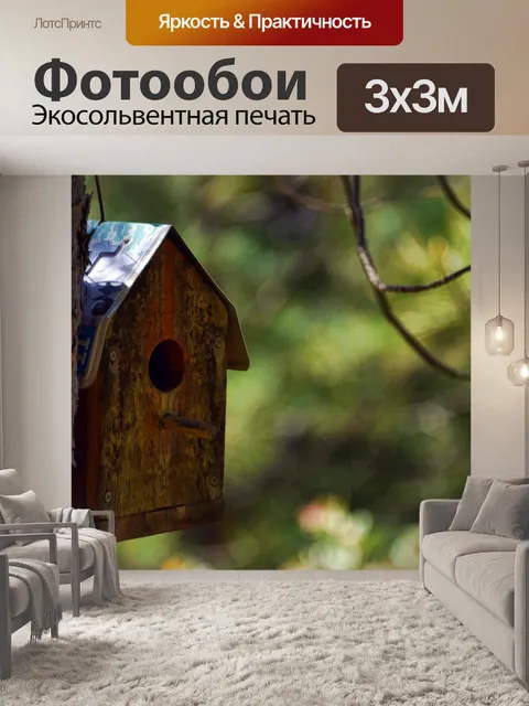 Фотообои Птичий дом