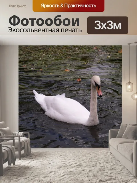 Фотообои Лебедь
