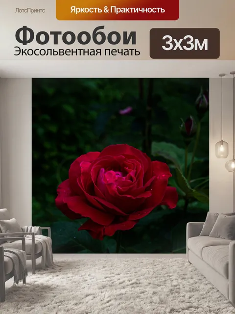 Фотообои Розовый