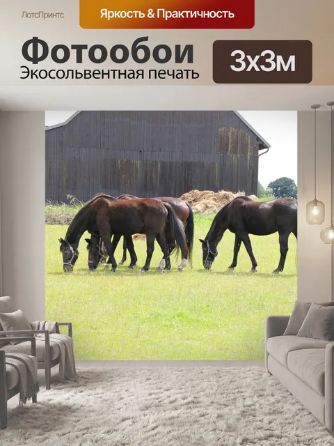 Фотообои Лошади