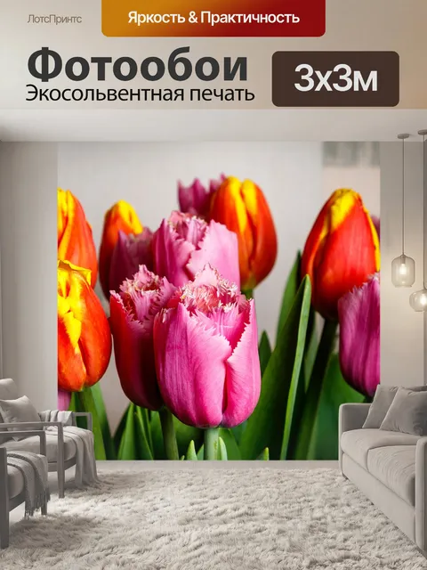 Фотообои Тюльпаны