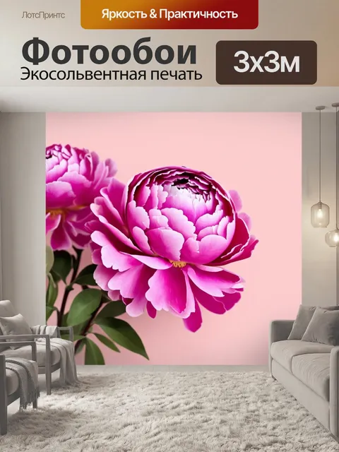 Фотообои пионы в стиле минимализм