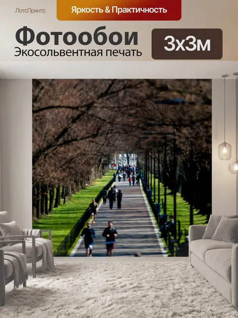 Фотообои аллея с пешеходами